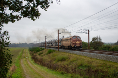 SMM_6261