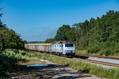 SMM_4925