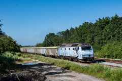 SMM_4928