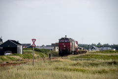 SMM_5547