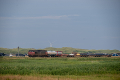 SMM_5562