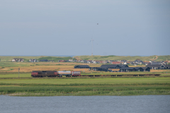 SMM_5567