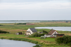SMM_5576
