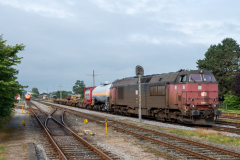 SMM_5589