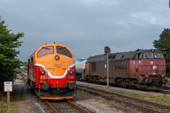 SMM_5595