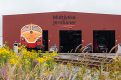 SMM_5656