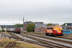 SMM_5666