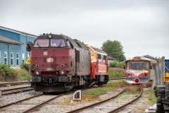SMM_5687