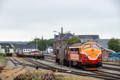 SMM_5699