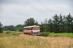 SMM_5724