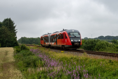 SMM_5747
