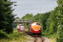 SMM_5771