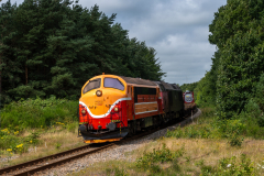 SMM_5782
