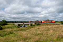 SMM_5795