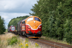 SMM_5876