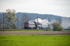 SMM_5955