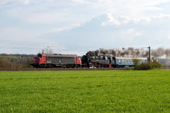 SMM_5968