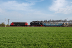 SMM_5978