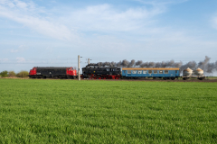 SMM_5981