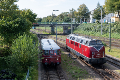 SMM_4238