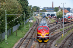 SMM_4407