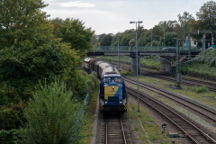 SMM_4417