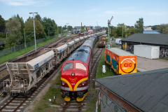 SMM_4419