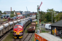 SMM_4438