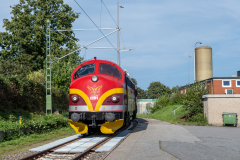 SMM_4452