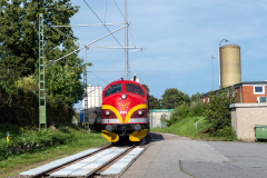 SMM_4454