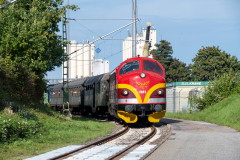 SMM_4462