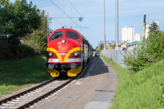 SMM_4474