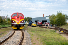 SMM_4490