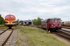 SMM_4513
