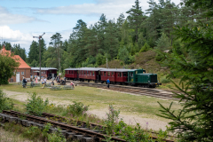 SMM_5184