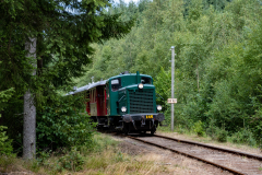 SMM_5198
