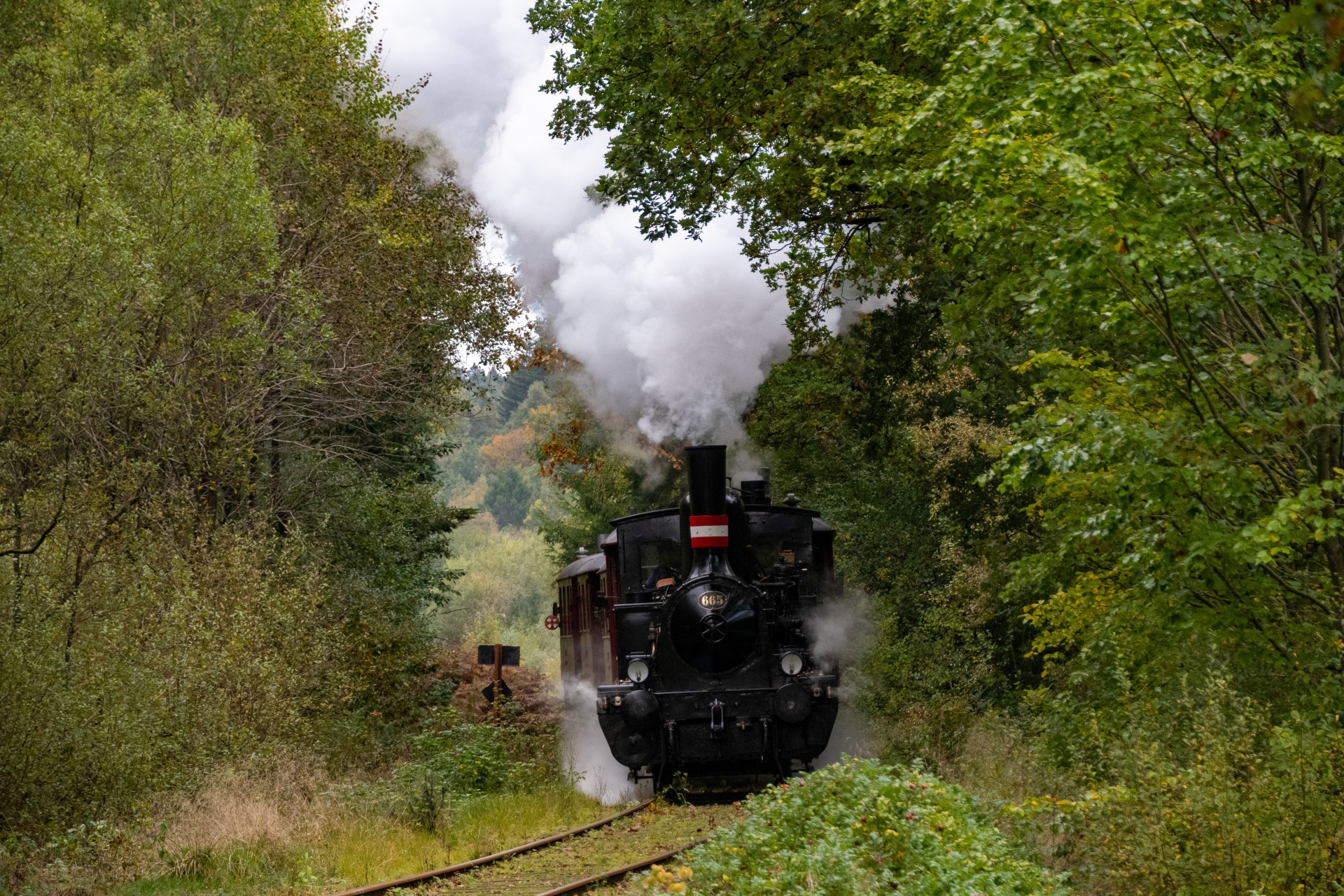 SMM_9204