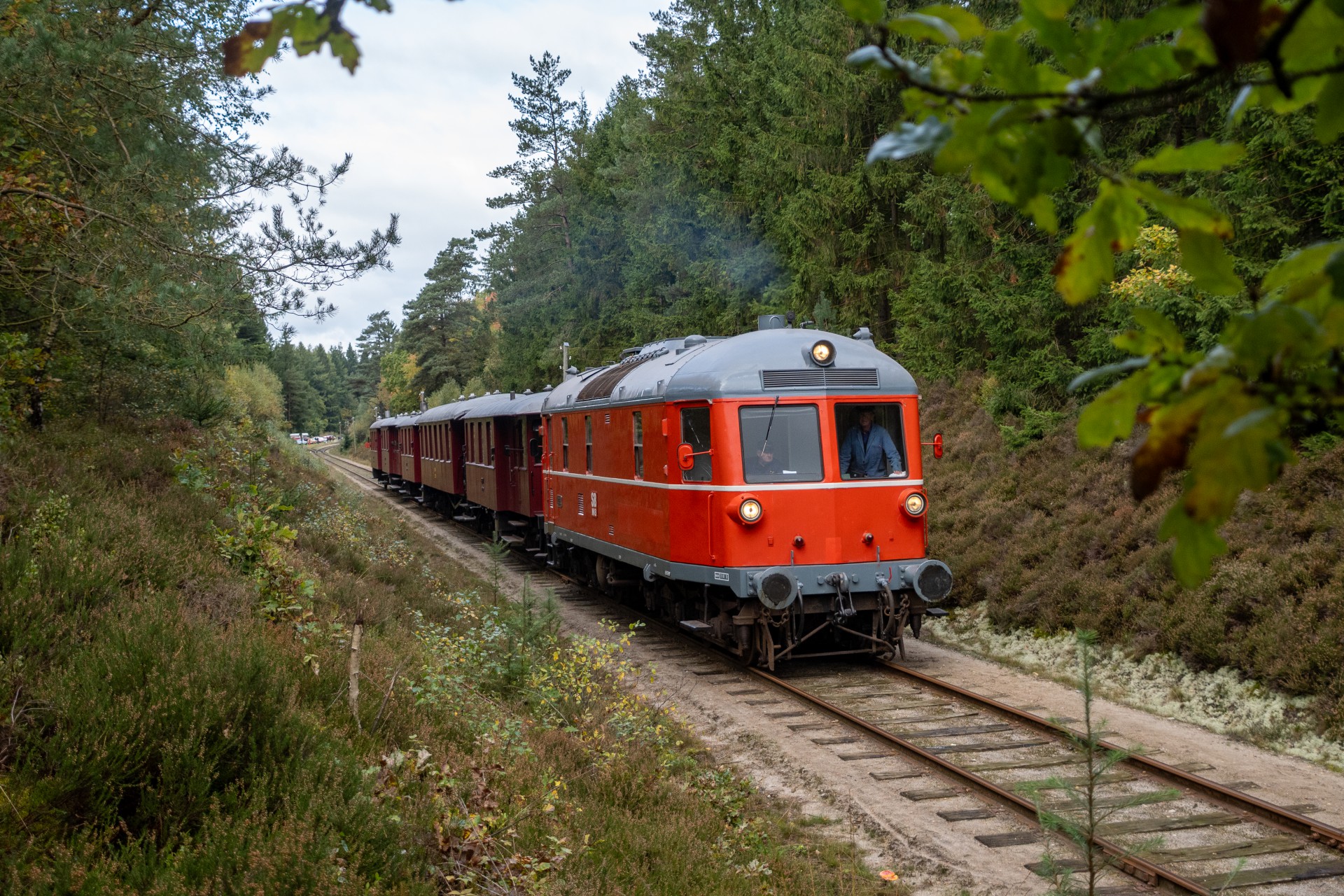 SMM_9258