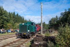 SMM_9131