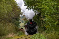 SMM_9204