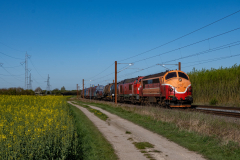 SMM_0728