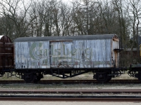 DSC_0098.JPG
