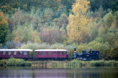 SMM_0199