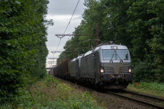SMM_7871
