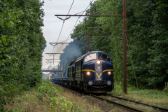 SMM_7896