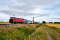 SMM_3631