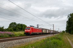 SMM_3647
