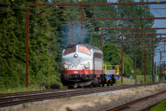 SMM_3726