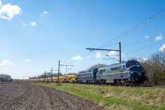 SMM_5367
