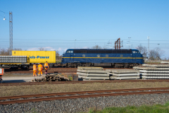 SMM_5567